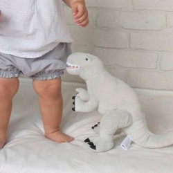 Dinosaurus Knuffel met naam