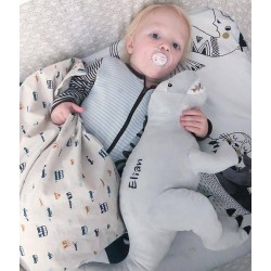 Dinosaurus Knuffel met naam
