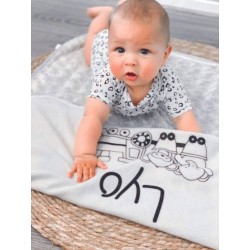 Baby dekentje met treintje